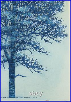 Namiki Hajime 1994 Japanese Original Woodblock print Tree Scene 34 68/300