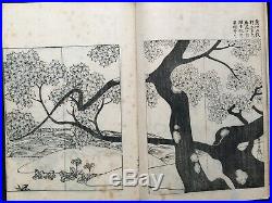OGATA KORIN Art & Decorative design collection Japanese Woodblock print Book #2