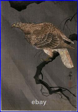 OHARA KOSON,'GOSHAWK', vintage color woodblock, c. 1930