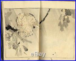 Old 1890 SEITEI Woodblock Print Bird & Flower Picture Book Seitei Kacho Gafu