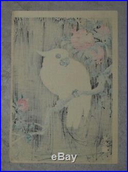 Old Estate Ohara Koson Cockatoo + Pomegranate Woodblock Print 10-1/4 x 7-1/4 In