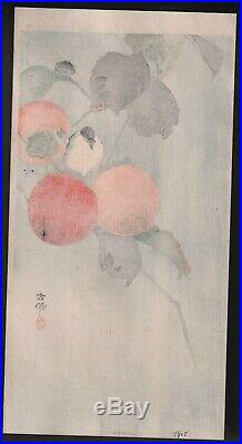 Original Japanese Woodblock Print by OHARA KOSON Nuthatch with Persimmon