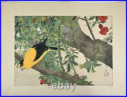 Original Japanese woodblock Print Golden bird by Tsuchiya Rakuzan 1930