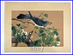 Original Japanese woodblock print Pear flower and cuckoo Tsuchiya Rakuzan 1929