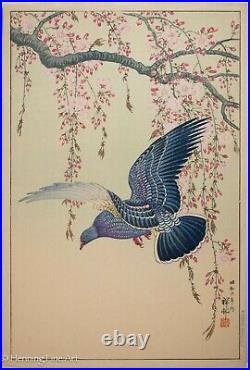 Rare Koson Ohara Shoson Japanese Woodblock Pigeon in Flight Cherry Tree FINE