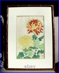 SHODO KAWARAZAKI Japanese Woodblock Print CRYSANTANTHEMUMS Collectors Guild COA