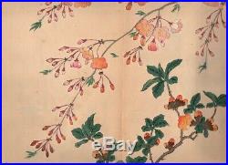 Shikinohana 1907 Woodblock Print Flowers Book by Sakai Hoitsu Original Antique