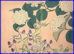 Shikinohana 1907 Woodblock Print Flowers Book by Sakai Hoitsu Original Antique