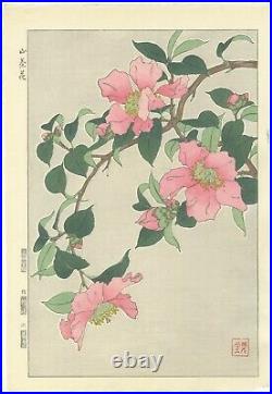 Shodo Kawarazaki, Camellia Japonica, Flower, Original Japanese Woodblock Print