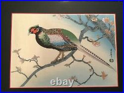 Tangyu Benji Asada Japanese Woodblock Print Pheasant Framed and Matted
