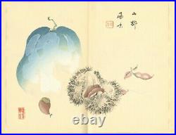 Tansei Ippan by Taki Katei 5vols Full Japan vintage Woodblock Print Book