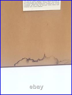 Toshi Yoshida Woodblock Print Bamboo Of The Friendly Garden Signed 16x31