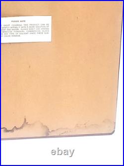 Toshi Yoshida Woodblock Print Bamboo Of The Friendly Garden Signed 16x31