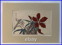 Tsuchiya Rakusan Grasshopper & Hibiscus 12 x 16 Woodblock Framed Matted