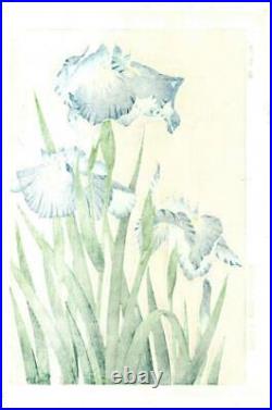 Ukiyo-e Japanese Woodblock Print Kawarazaki Shodo Iris 2 Flower Japan Antique EX