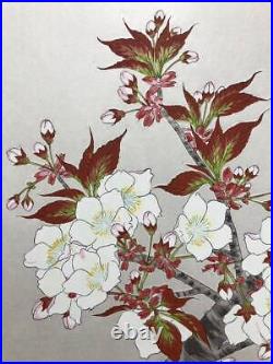 Ukiyoe Japanese Woodblock Print Cherry Blossom Shodo Kawarazaki Authentic Japan