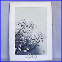 Vintage 1950s Eiichi Kotozuka Japanese Woodblock Print Spring Cherry Blossoms