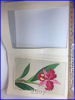 Vintage Japanese Chinese Woodblock Print Floral Rose Flower. Beautiful Print
