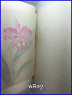 Vintage Japanese Chinese Woodblock Print Floral Rose Flower. Beautiful Print