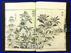 WILD GRASS Japanese Woodblock Print 5 Books Set Flowers Kano Sch. 1806 EDO 83