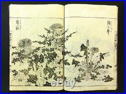 WILD GRASS Japanese Woodblock Print 5 Books Set Flowers Kano Sch. 1806 EDO 83