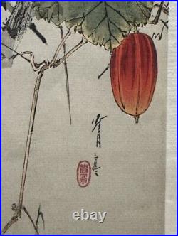 Watanabe Seitei Woodblock Print Japanese Snake Gourd 1923