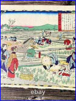 Woodblock Print Of Farmers In Imperial Rice Garden By Utagawa Hiroshige III 1870 Woodblock Print Of Farmers In Imperial Rice Garden By Utagawa Hiroshige III 1870