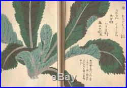 Woodblock printed Pictorial book of flora 19thC Japanese Edo Meiji Antique