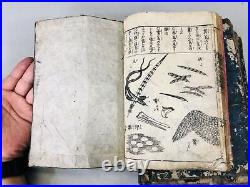 Y6510 WOODBLOCK PRINT Picture book set of 6 volumes Japan antique illustraion