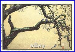Yoshida Toshi Plum tree and Blue Magpie 1951 Japanese Woodblock Print F/S